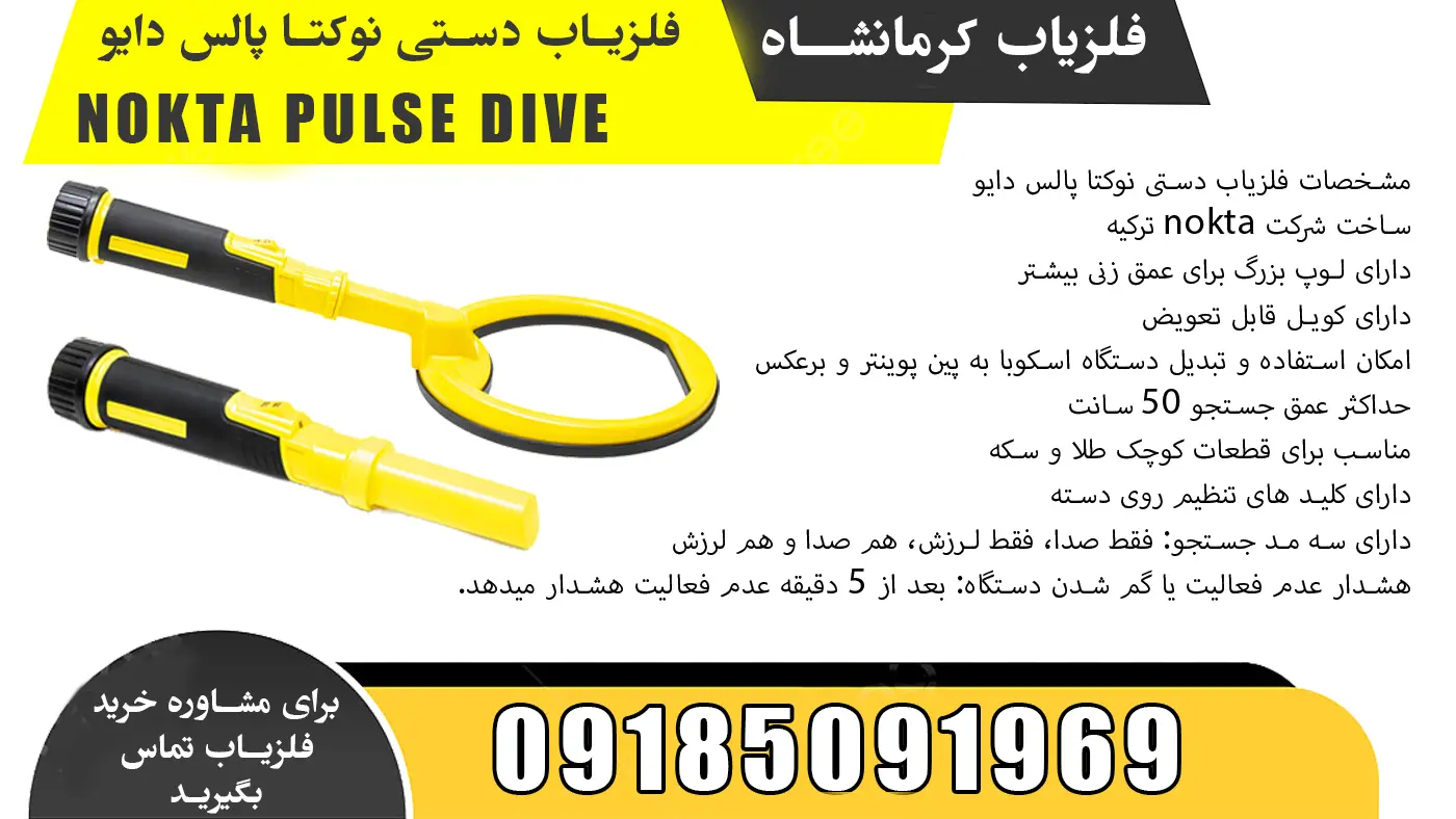 فلزیاب دستی پالس دایو